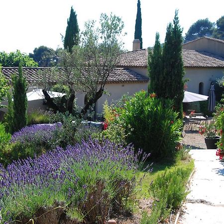 Le Clos De La Chevre Sud La Cadiere-d'Azur Eksteriør billede